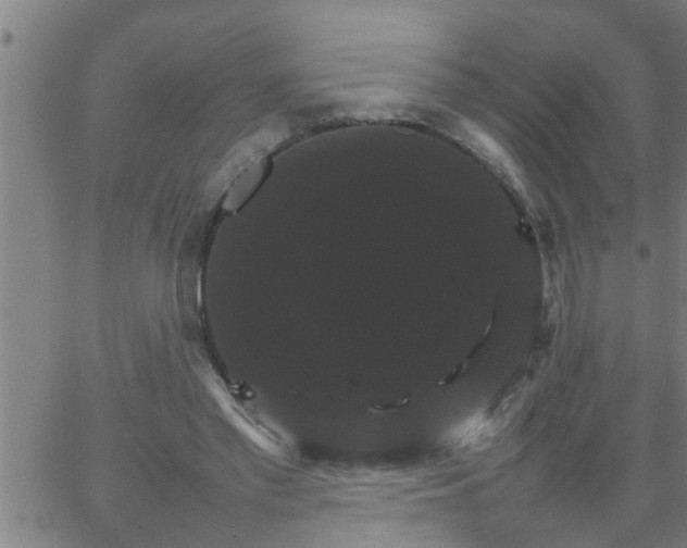 X0000066540397200603311850