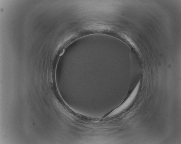 X0000066540399200603311850