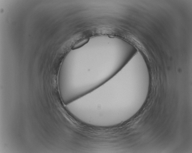 X0000066540401200603311850