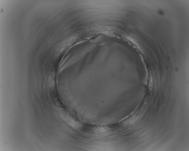 X0000066540402200603311850