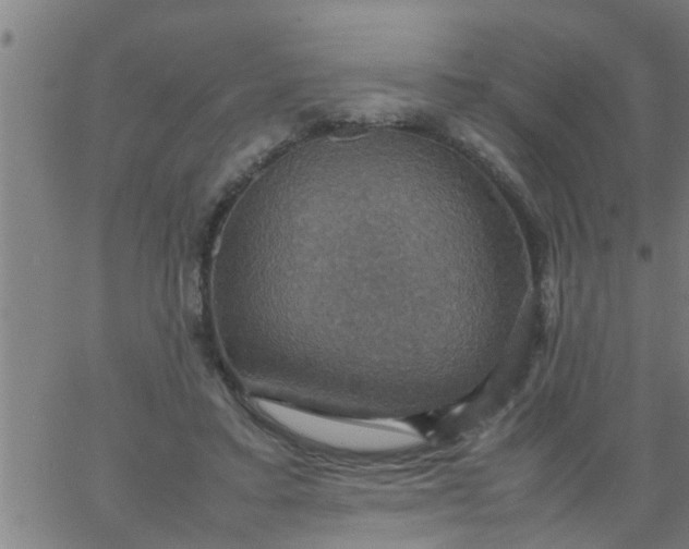 X0000066540403200603311850