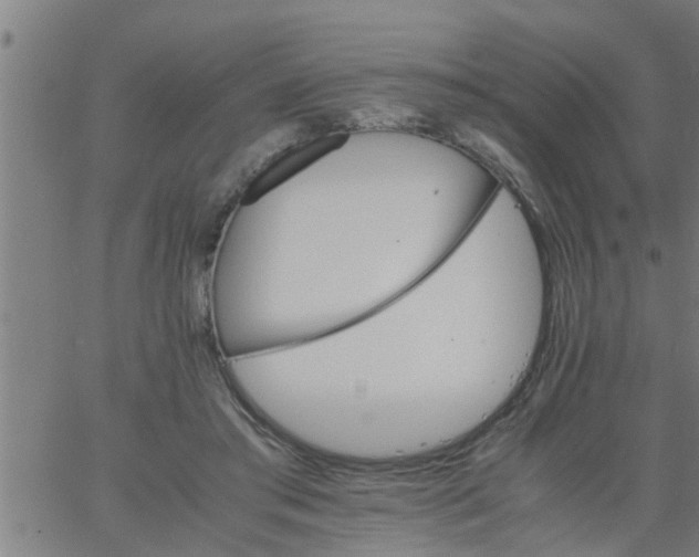 X0000066540405200603311850