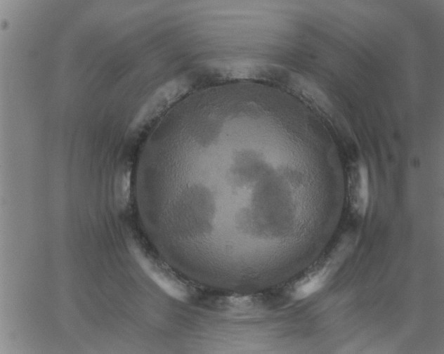 X0000066540406200603311850