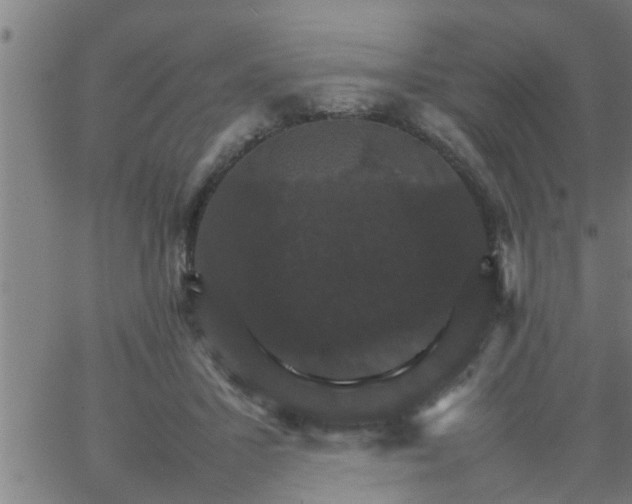 X0000066540407200603311850