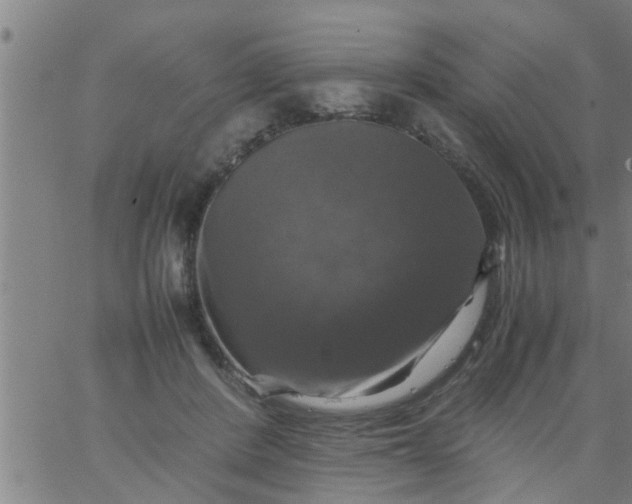 X0000066540408200603311850