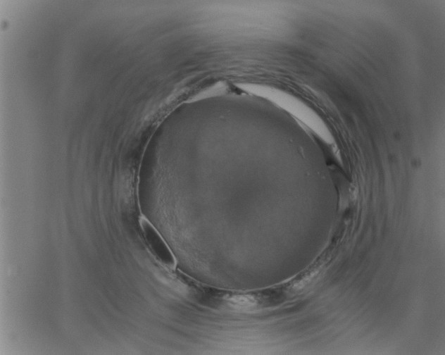 X0000066540409200603311850