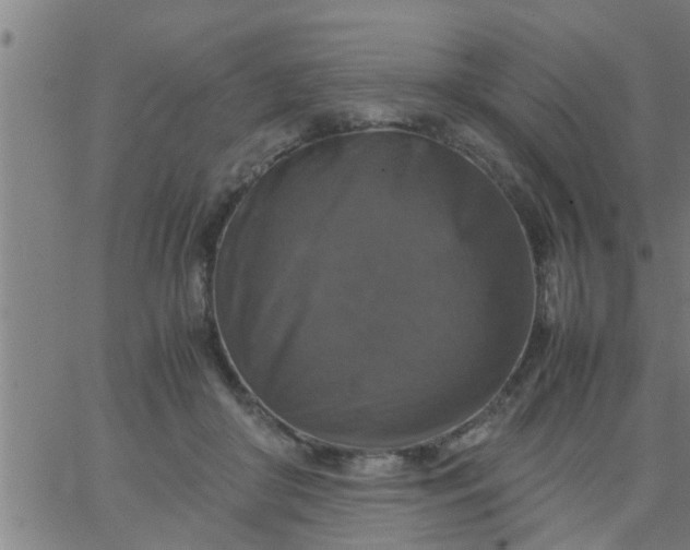 X0000066540410200603311850