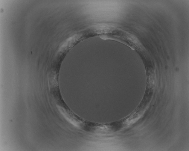 X0000066540411200603311850