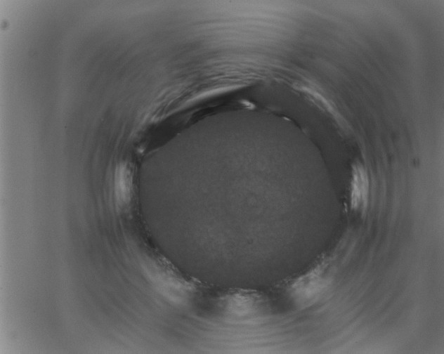 X0000066540412200603311850