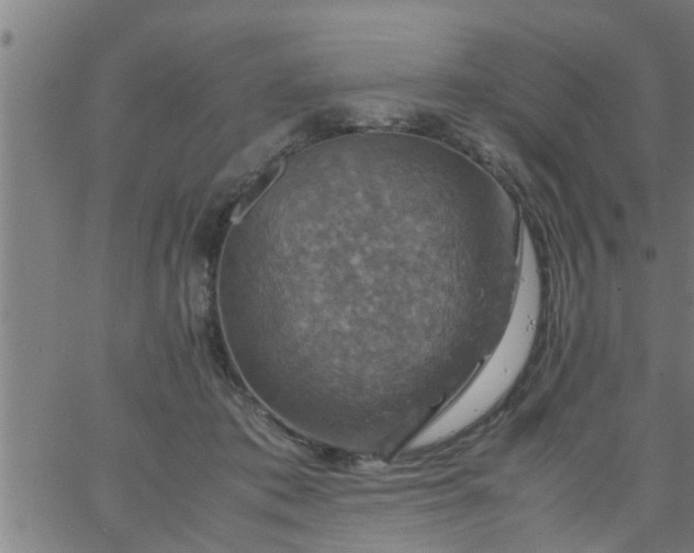 X0000066540413200603311850