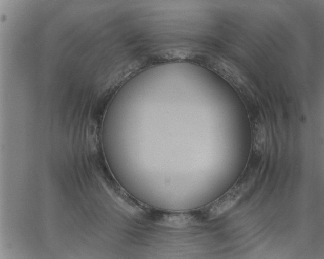 X0000066540414200603311850