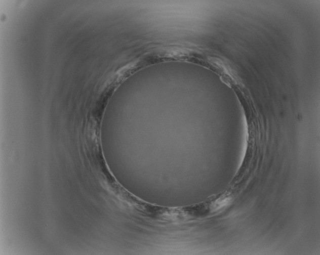 X0000066540415200603311850