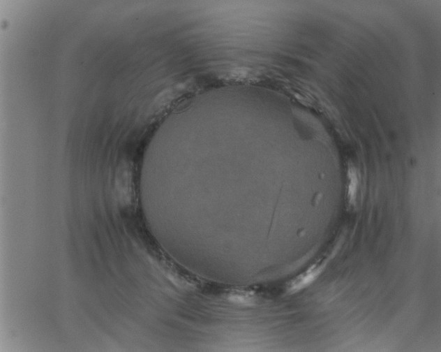 X0000066540416200603311850