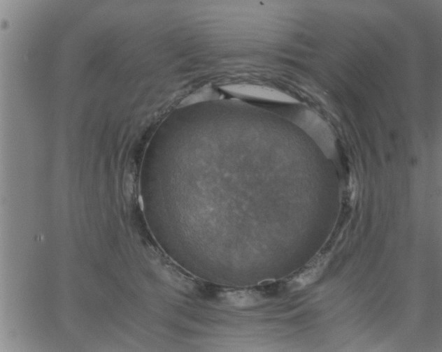 X0000066540417200603311850