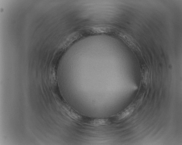 X0000066540418200603311850