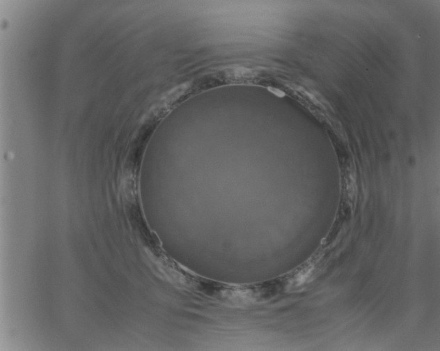 X0000066540419200603311850