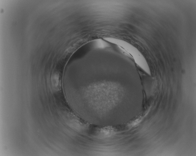 X0000066540420200603311850