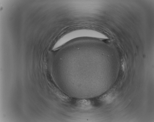 X0000066540421200603311850