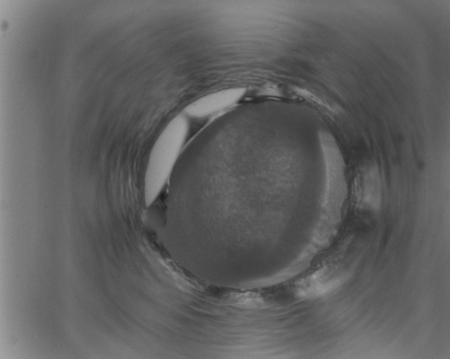 X0000066540424200603311850