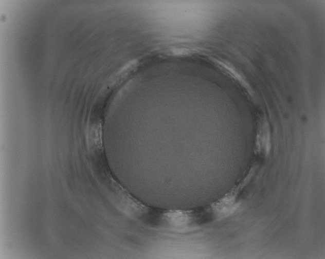 X0000066540425200603311850