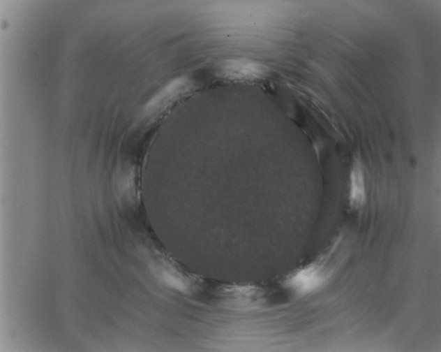 X0000066540428200603311850