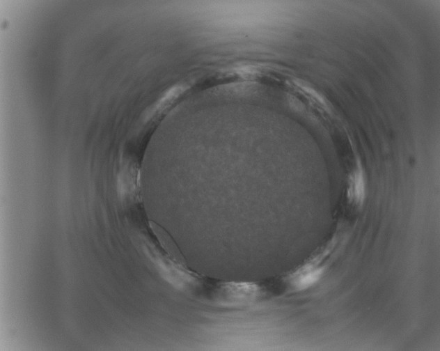 X0000066540429200603311849