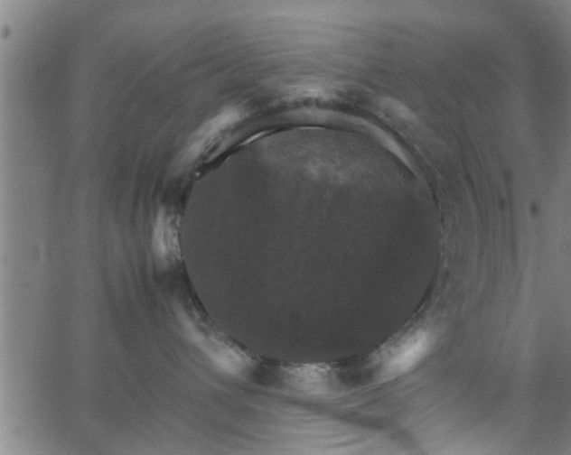 X0000066540432200603311849