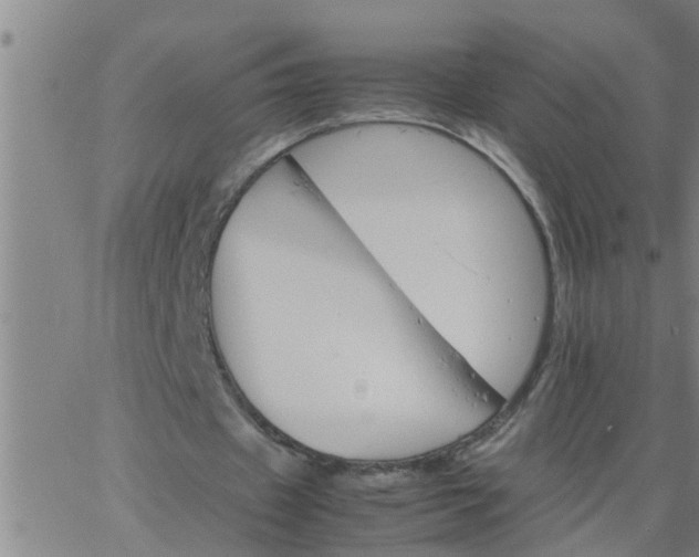 X0000066540433200603311849