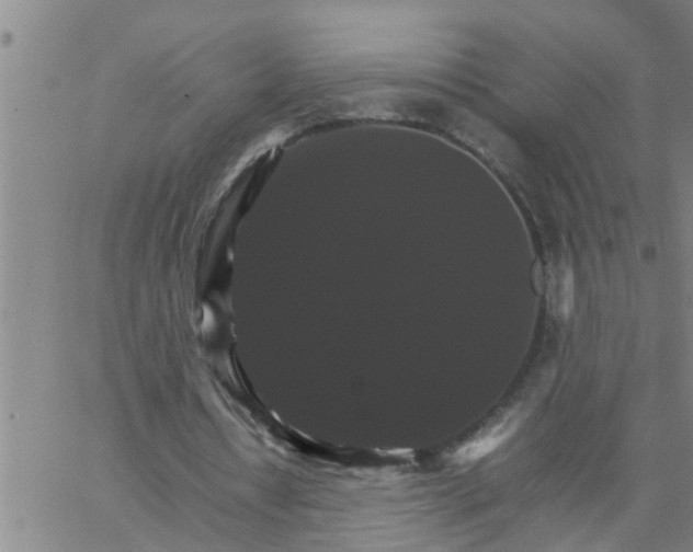 X0000066540434200603311849