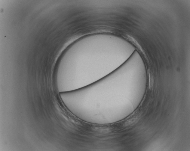 X0000066540435200603311849