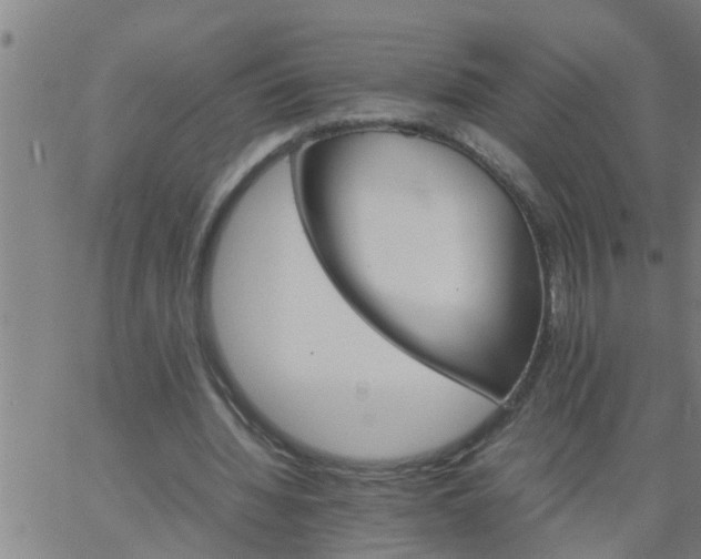 X0000066540436200603311849