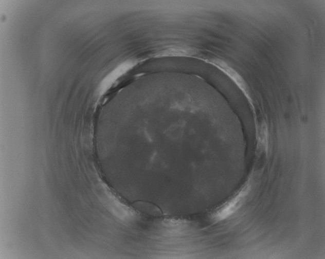 X0000066540437200603311849