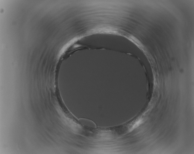 X0000066540438200603311849