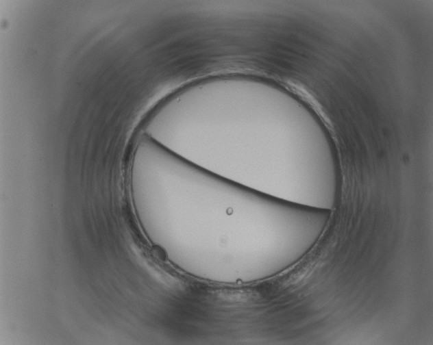 X0000066540439200603311849