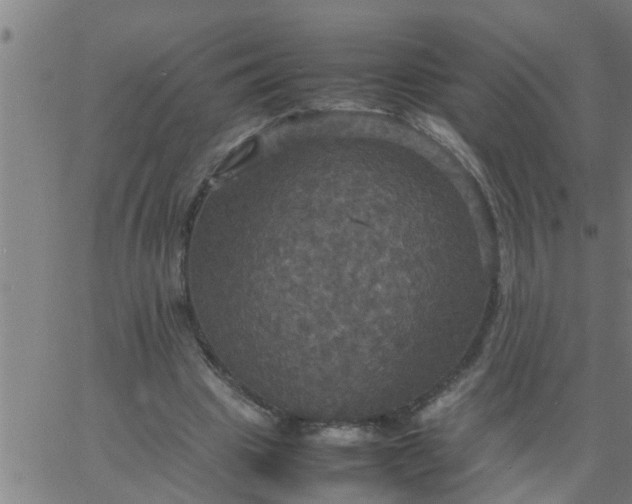 X0000066540441200603311849