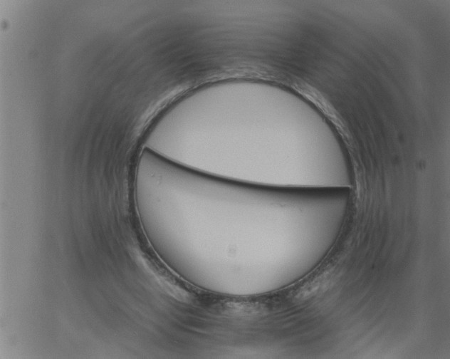 X0000066540442200603311849