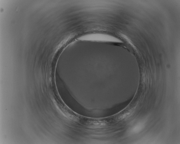 X0000066540443200603311849