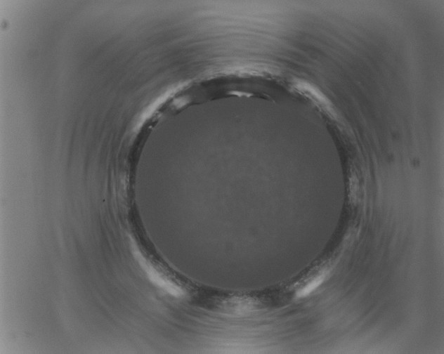 X0000066540444200603311849