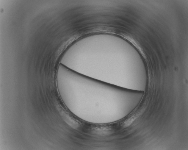 X0000066540445200603311849