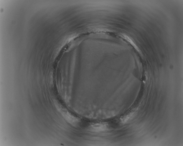 X0000066540447200603311849