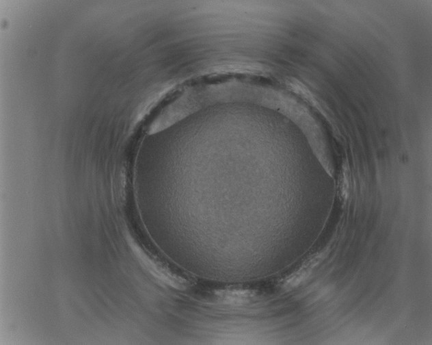 X0000066540448200603311849