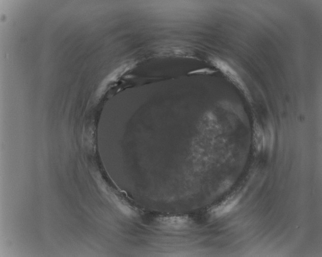 X0000066540449200603311849