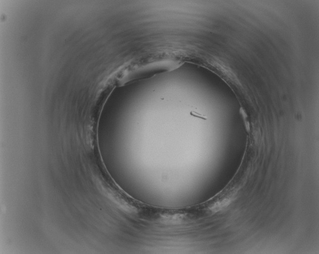 X0000066540450200603311849