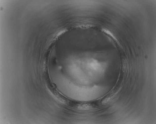 X0000066540451200603311849