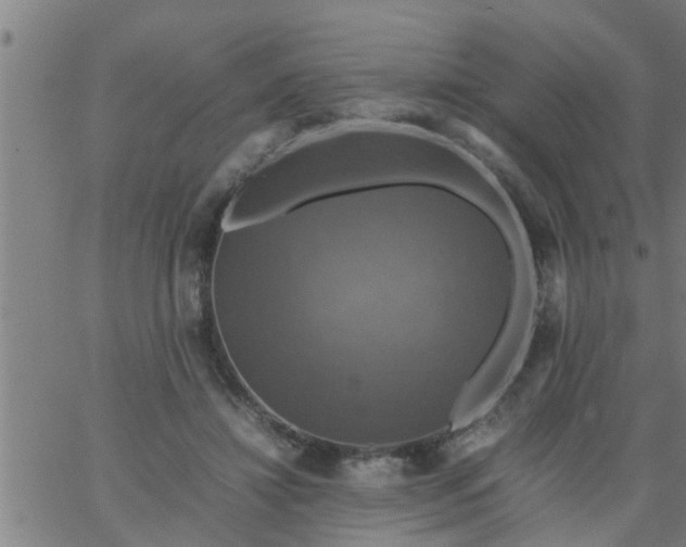 X0000066540452200603311849