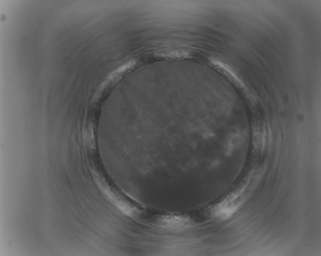 X0000066540453200603311849