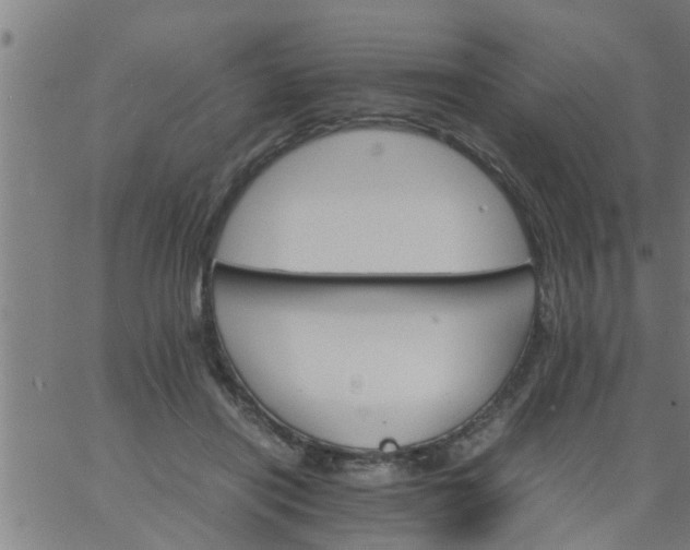 X0000066540454200603311849