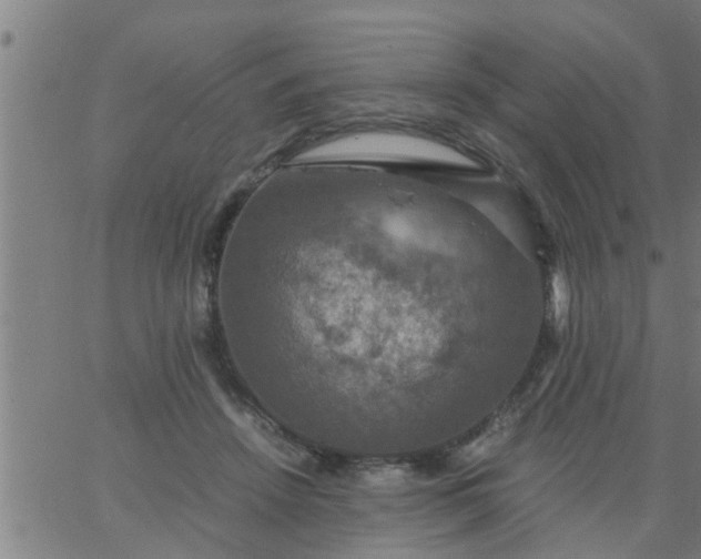 X0000066540456200603311849