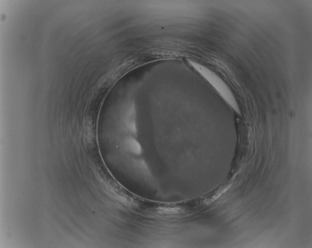 X0000066540457200603311849