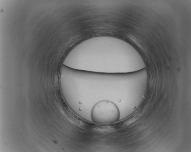 X0000066540459200603311849